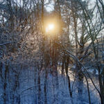 Morgensonne