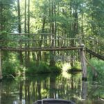 Spreebrücke - Bank