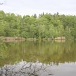 Niklassee bei Teupitz Waldsee bei Teupitz