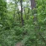 Wanderweg Krausnicker Berge Krausnicker Berge