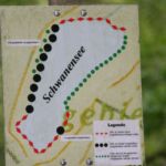 Schwanensee Schwanensee