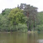 Triftsee bei Köthen Köthener Heideseen