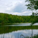 Nordseite Schäfersee See Nord