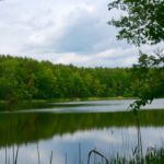 Nordseite Schäfersee See Nord