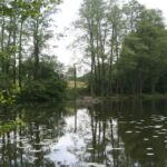 Schäfersee Südseite Schäfersee Süden