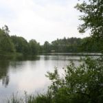 Schäfersee Blick auf den See