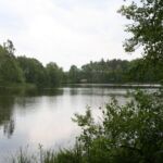 Schäfersee Blick auf den See