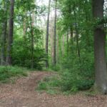 Weg zum Parkplatz Parkplatzweg