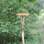 Zum Parkplatz Schäfersee Parkplatz