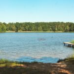 Oderiner See Am Badestrand